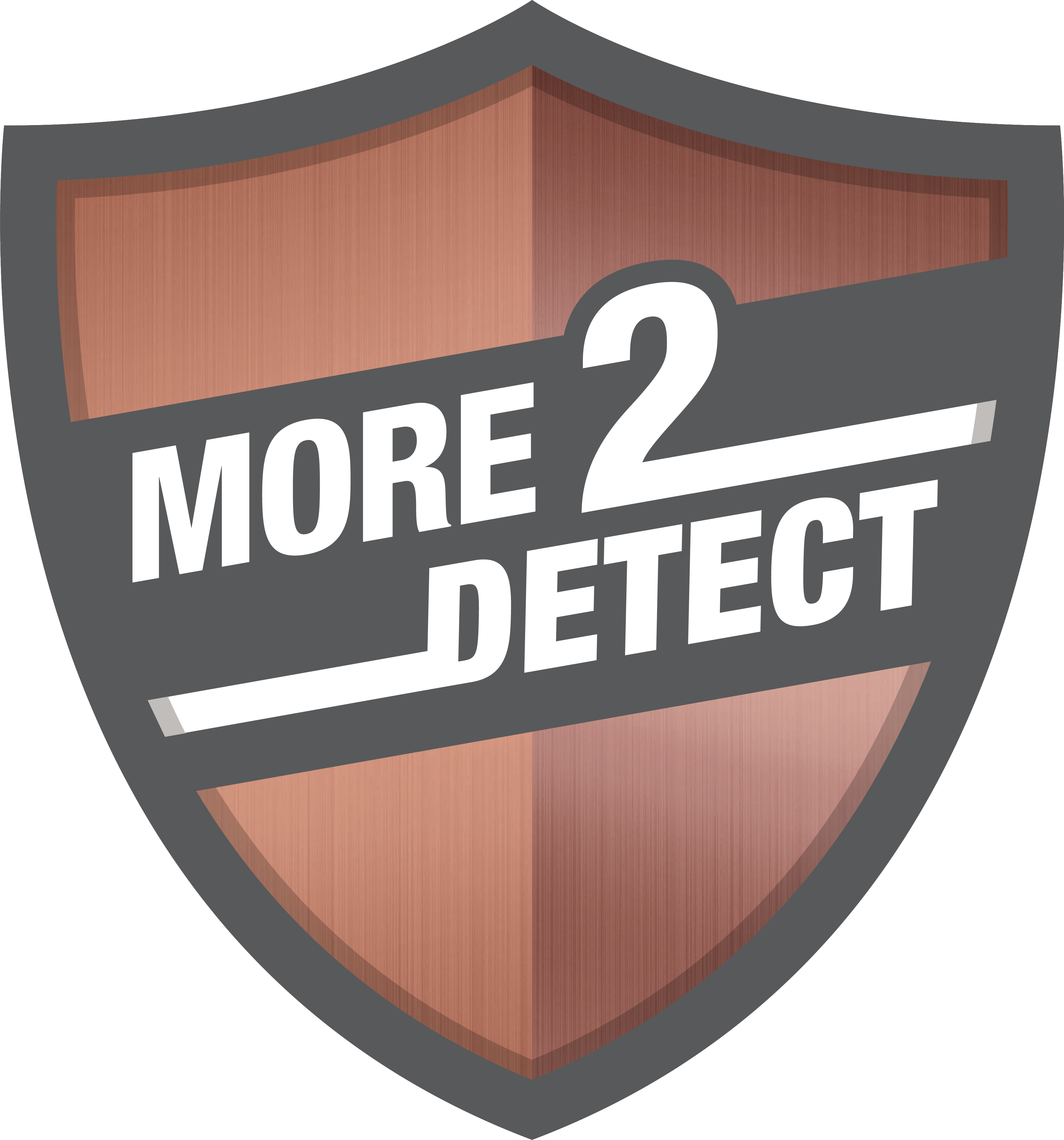 More2Detect logo